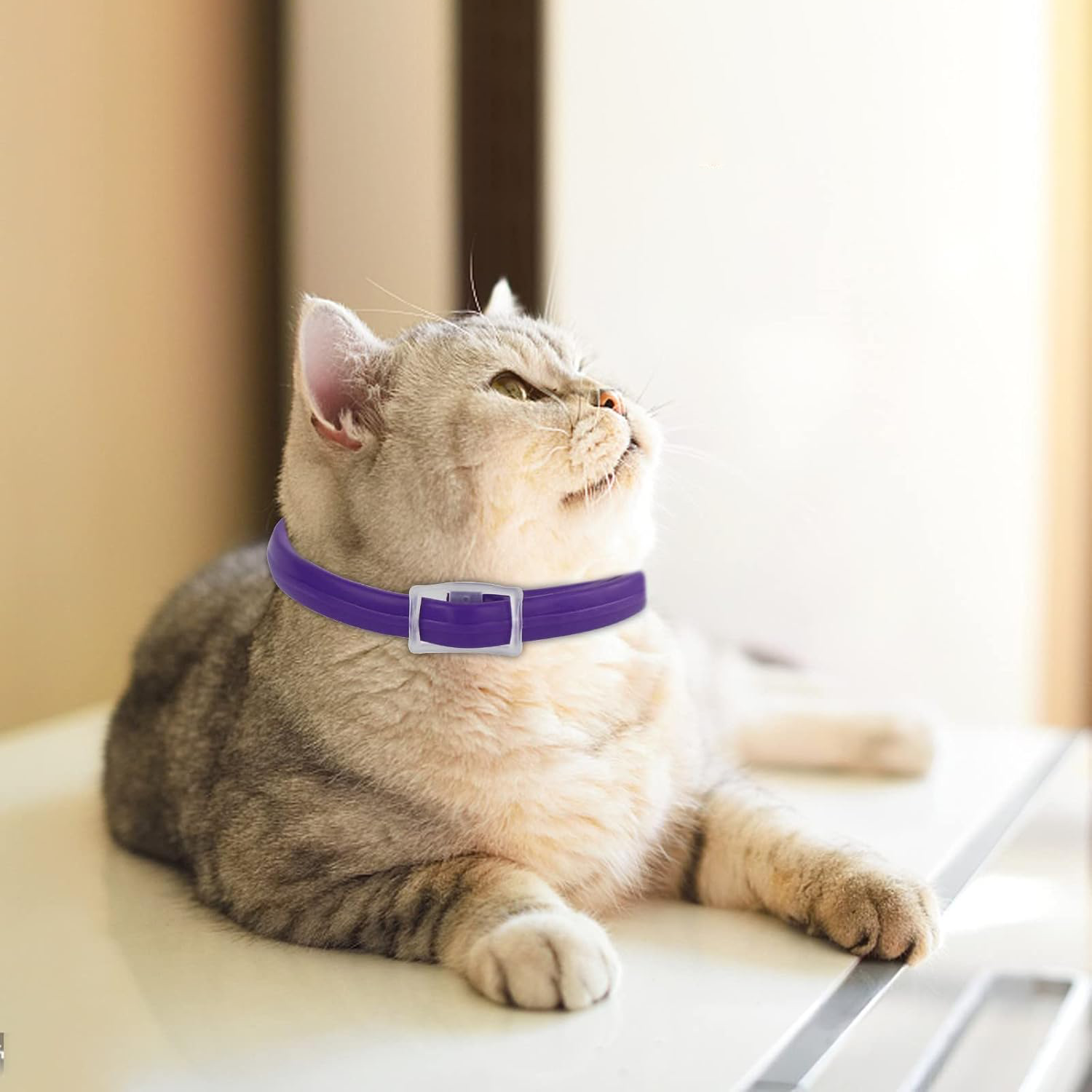 How to Choose the Best Flea & Tick Collar for Your Pet (Complete 2026 Guide)