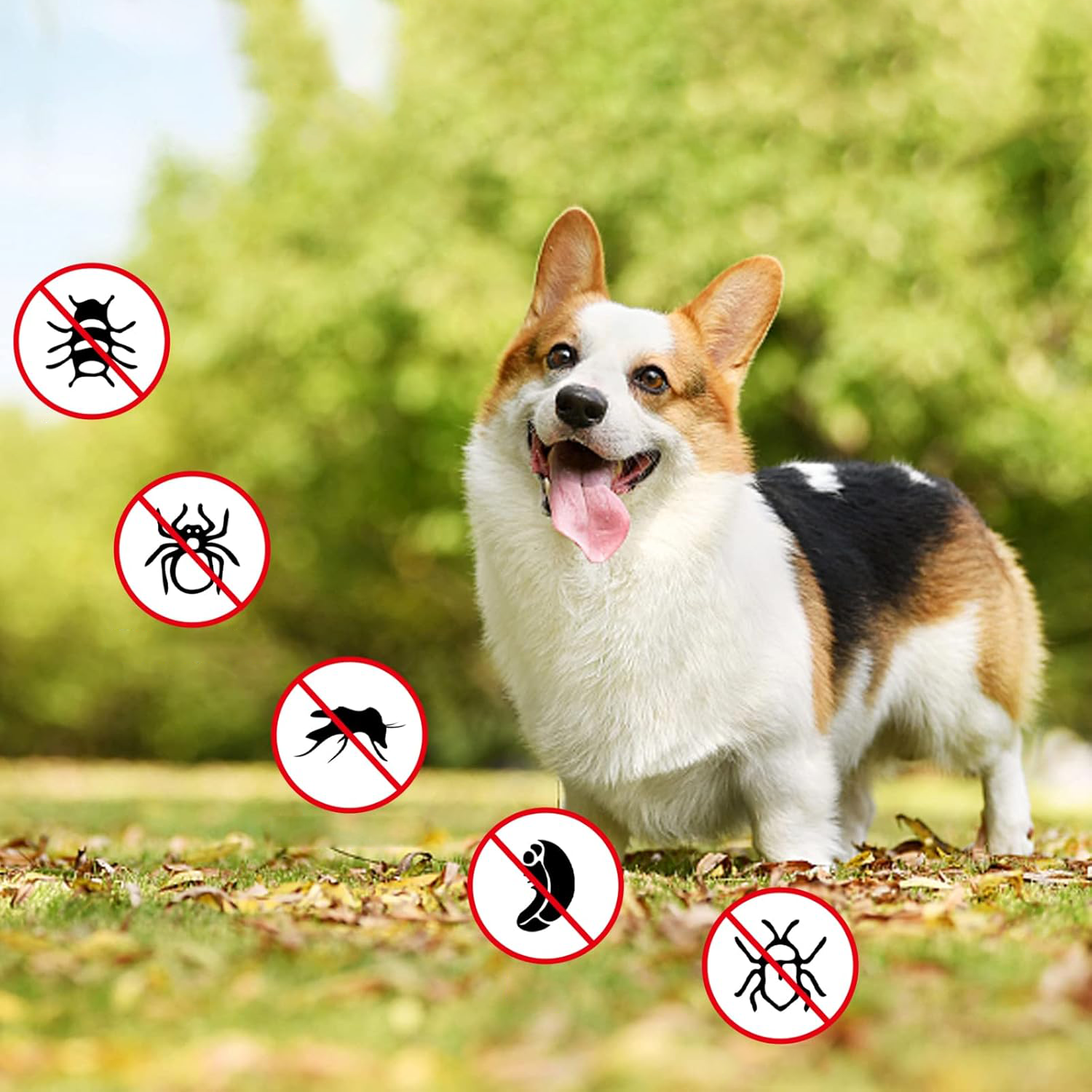 Protect Your Cat from Fleas and Ticks: A Complete Guide to Daily Flea Collars