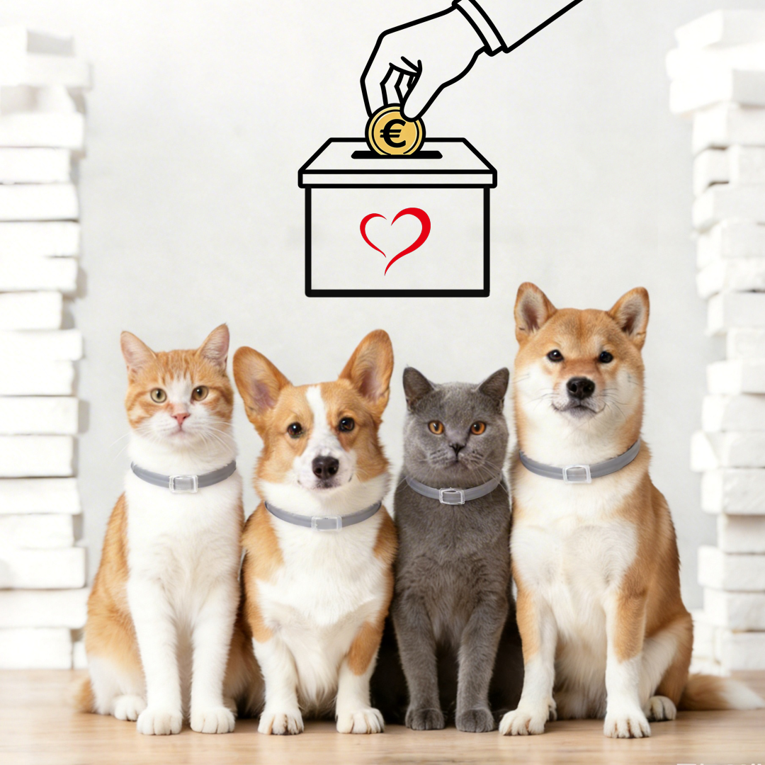 Why Does My Pet Still Have Fleas After Wearing a Flea Collar? Common Reasons Explained