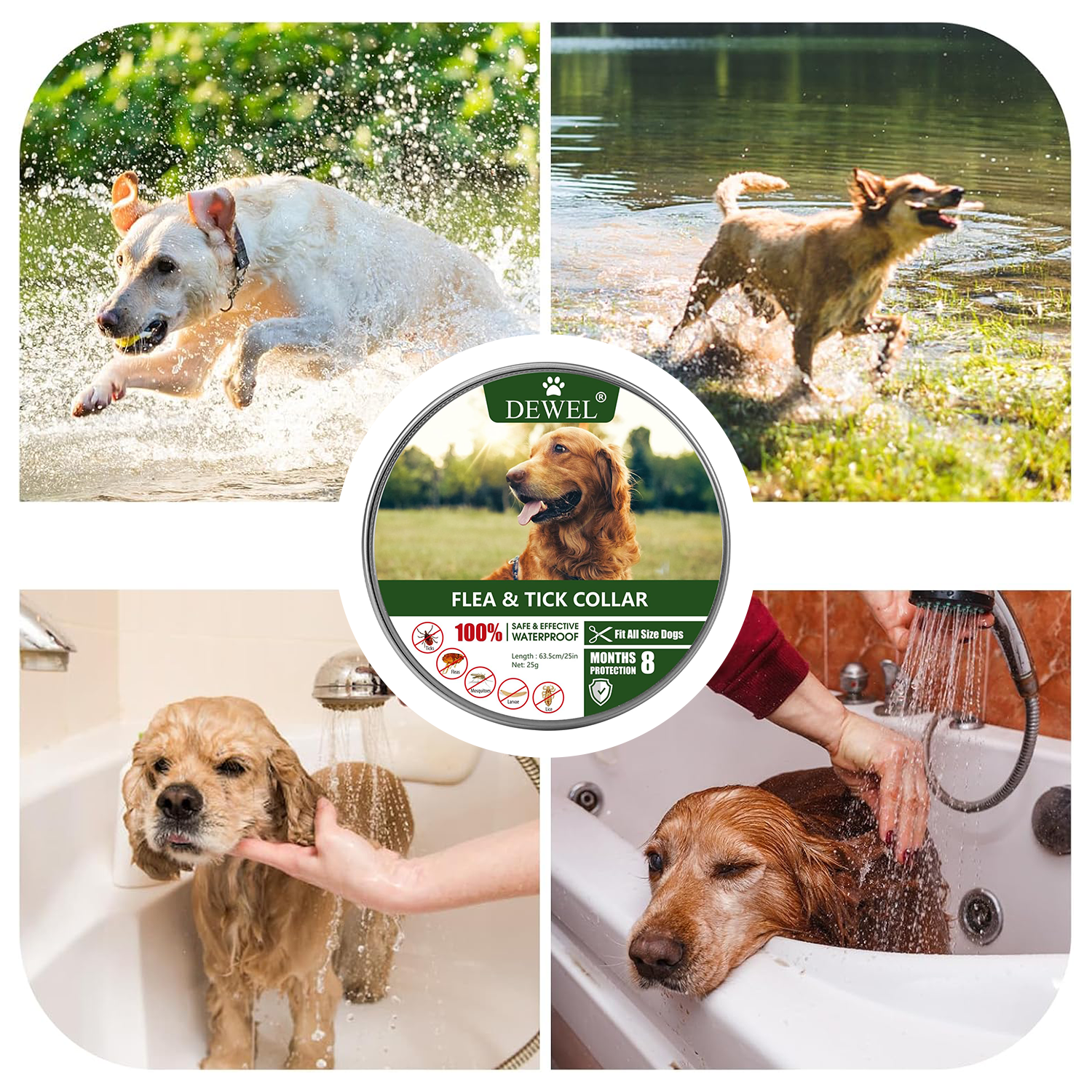 Why Fleas and Ticks Keep Coming Back — And How an Adjustable Waterproof Collar Can Help