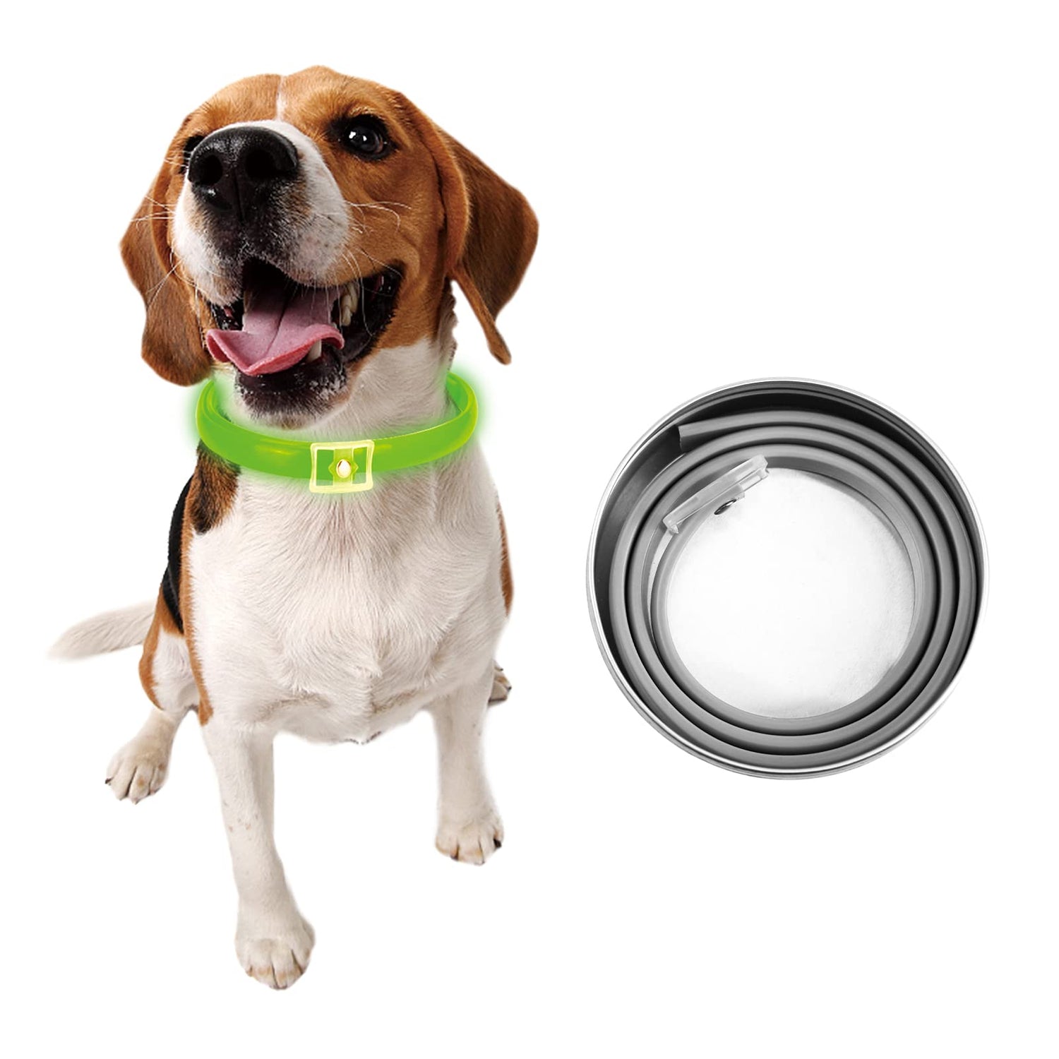 Natural Flea & Tick Protection for Dogs: A Safer Daily Solution for Modern Pet Owners
