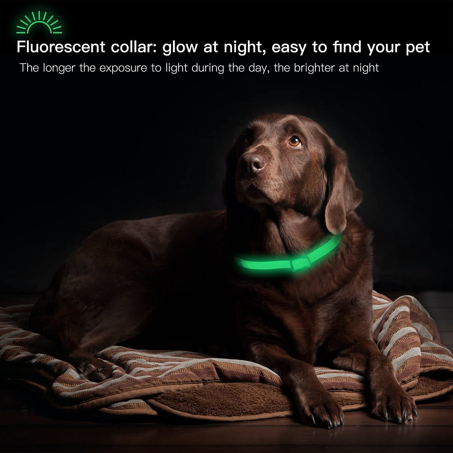 Do Flea Collars Really Work?