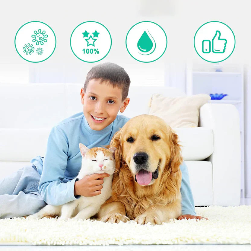 Can Cats Be Allergic to Flea Collars? Signs, Causes, and What to Do?