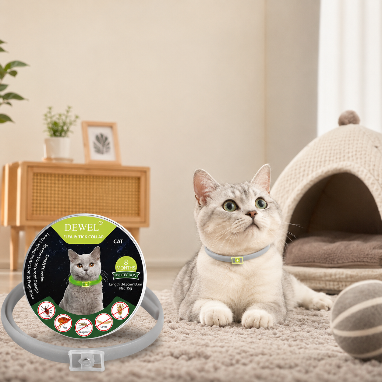 How to Keep Your Cats and Small Dogs Safe at Night with Natural Flea & Tick Protection