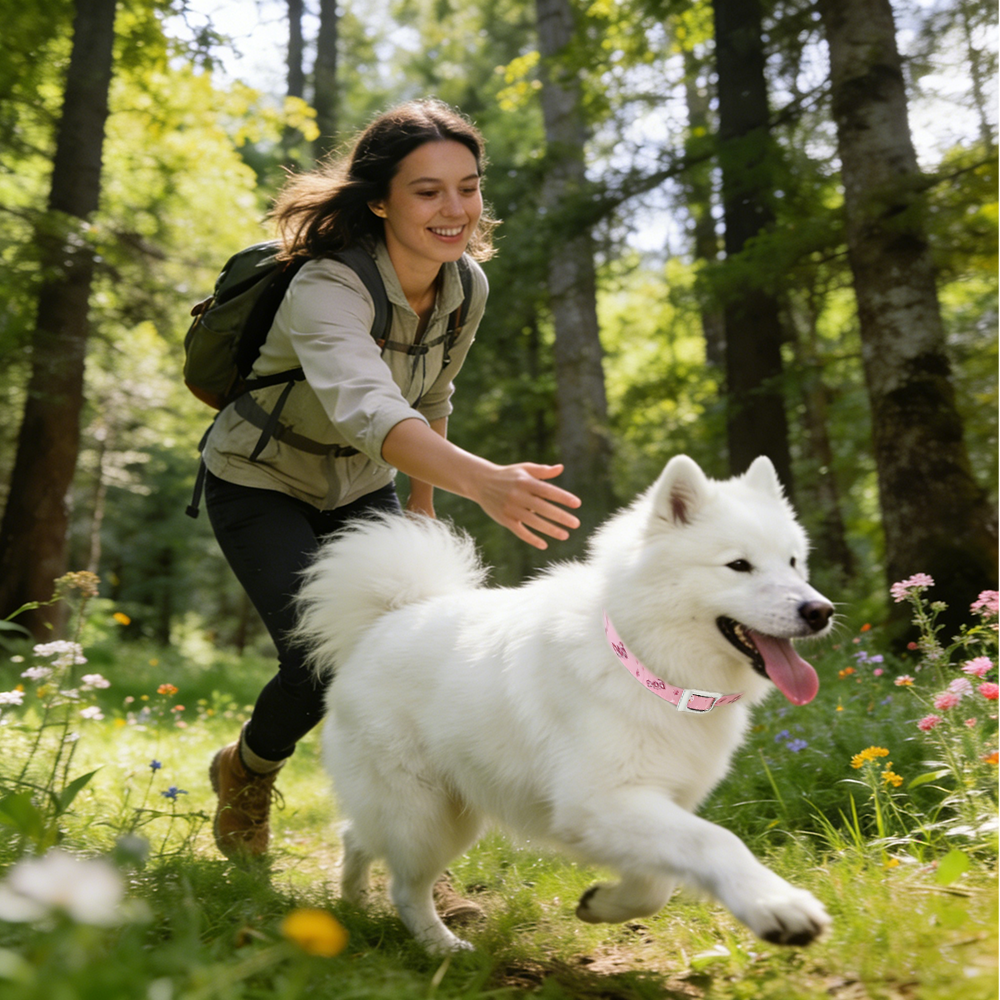 Why Flea Collars Smell Strong at First—and Why That’s Normal