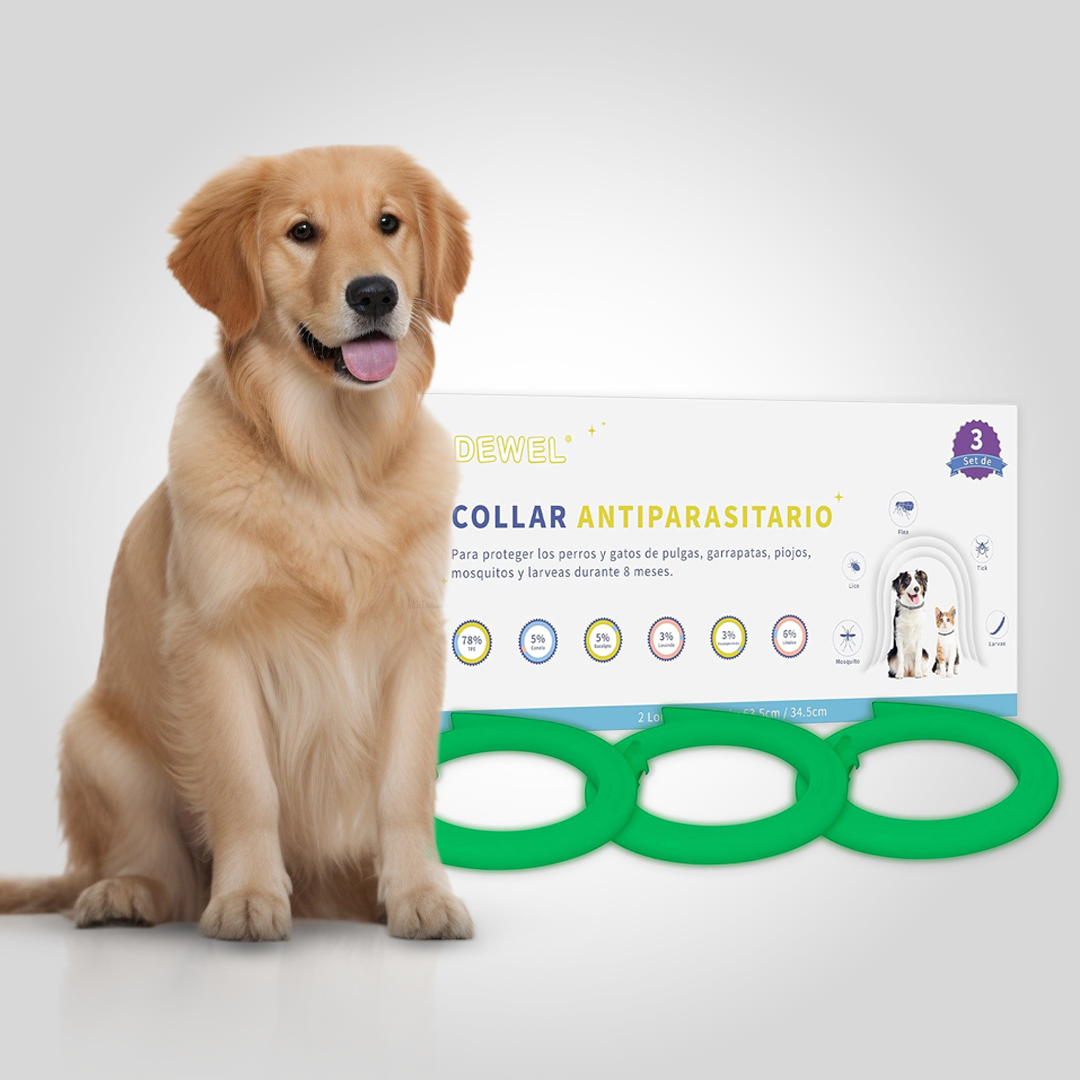 Why Flea Collars Smell Strong at First — And Why It’s Normal