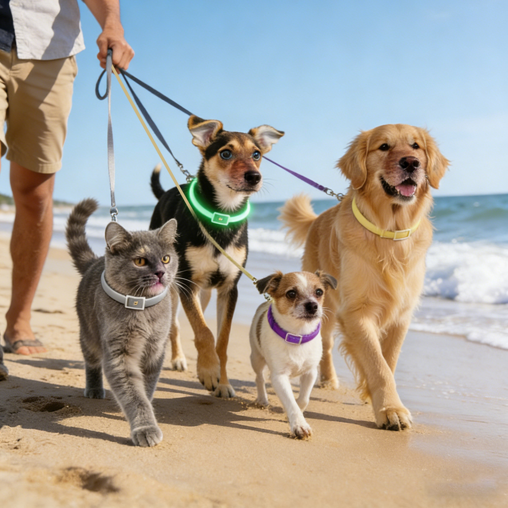 Why Your Dog Keeps Scratching: Signs of Fleas, Ticks & Skin Allergies