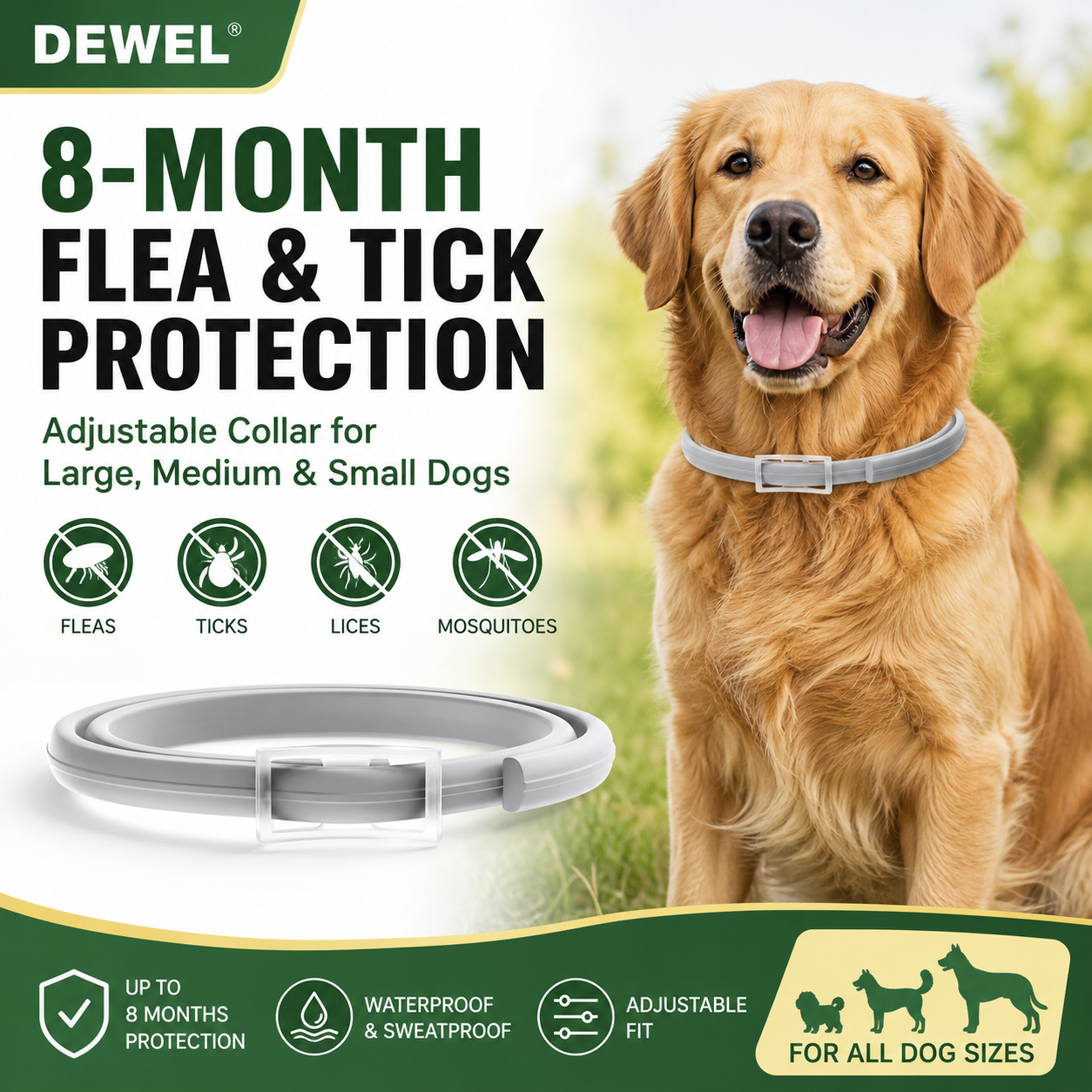 Best Flea & Tick Collar for Dogs – 8‑Month Protection Guide