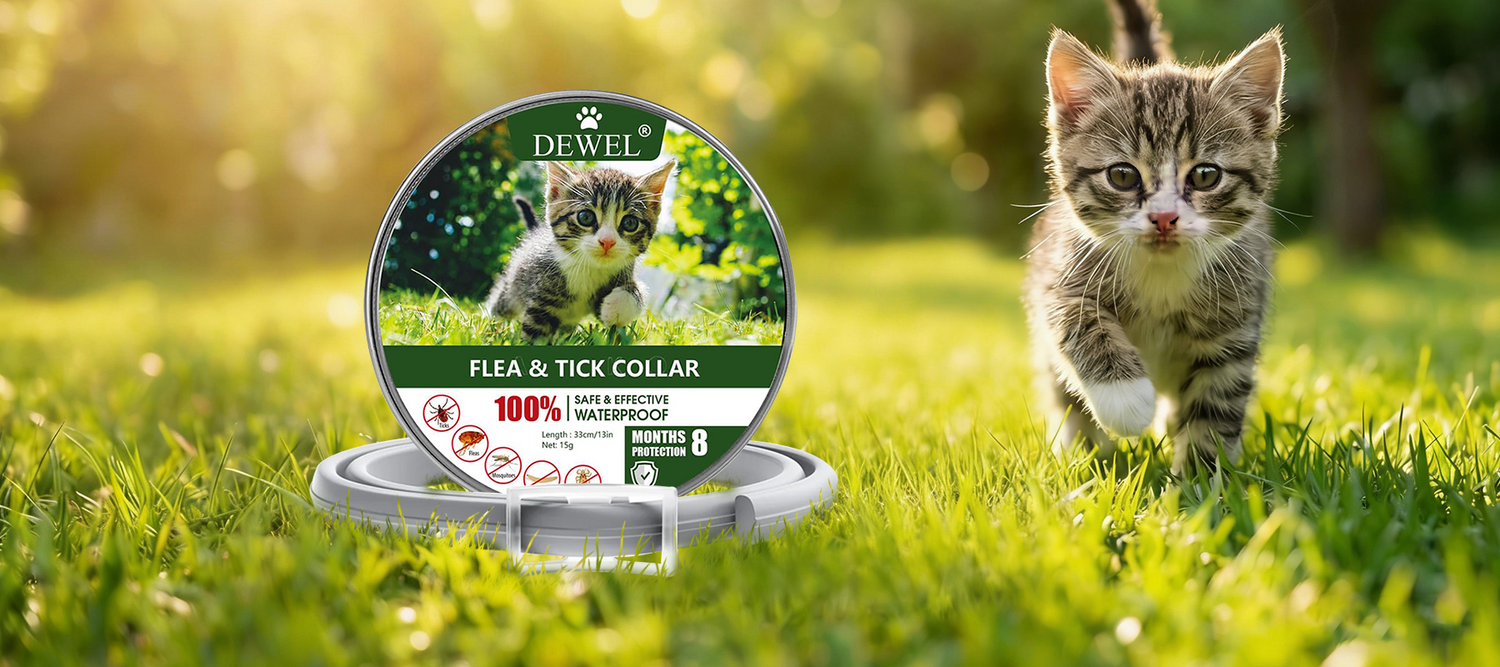 Why Skipping Flea Protection Can Cost More in the Long Run