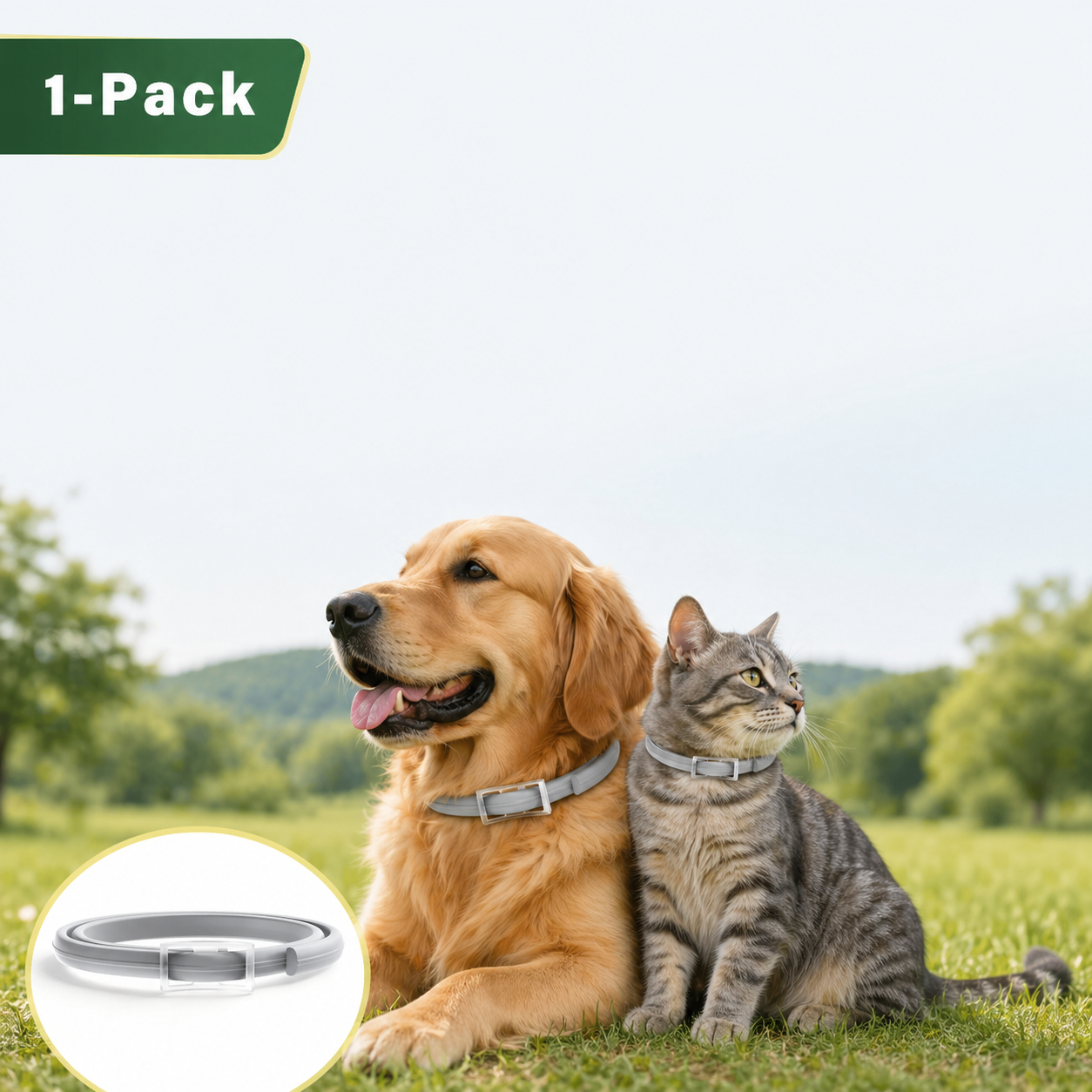 Outdoor Adventures with Your Dog? Don’t Forget Flea & Tick Protection