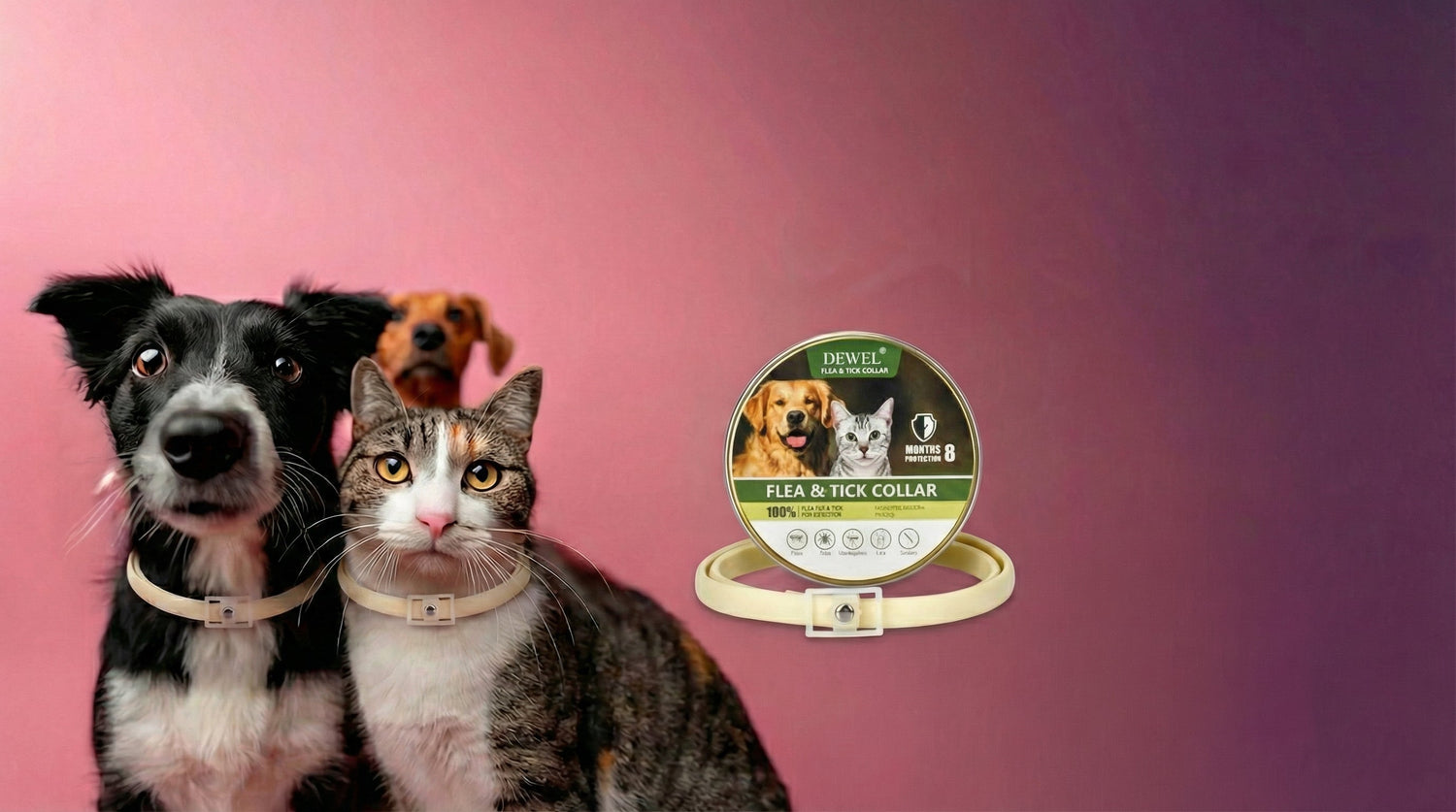 Why Adjustable Flea Collars Are Better for Growing Cats and Dogs