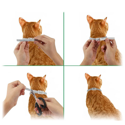 DEWEL-Collar antipulgas y garrapatas diario gris-ajustable 34.5 cm para gatos y perros pequeños, paseos por la ciudad – Protección de 8 meses