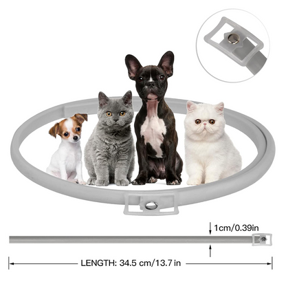 DEWEL-Luminous Flea & Tick Collar –Adjustable 34.5cm for Cats&Small Dogs, Night Safety – 8-Month Protection