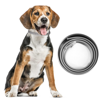 DEWEL-Flea and Tick Collar for Large, Medium & Small Dogs – 63.5cm Adjustable, 8-Month Protection