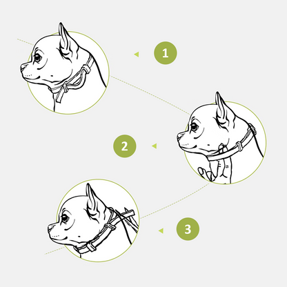 DEWEL-Gentle Care Flea & Tick Collar-Adjustable 63.5cm for Medium & Large Dogs, Sensitive Skin Care – 8-Month Protection