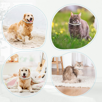 DEWEL-Collar Antipulgas y Garrapatas Diario Blanco-Ajustable 63.5cm para Perros Medianos y Grandes, Paseos por la Ciudad – Protección de 8 Meses