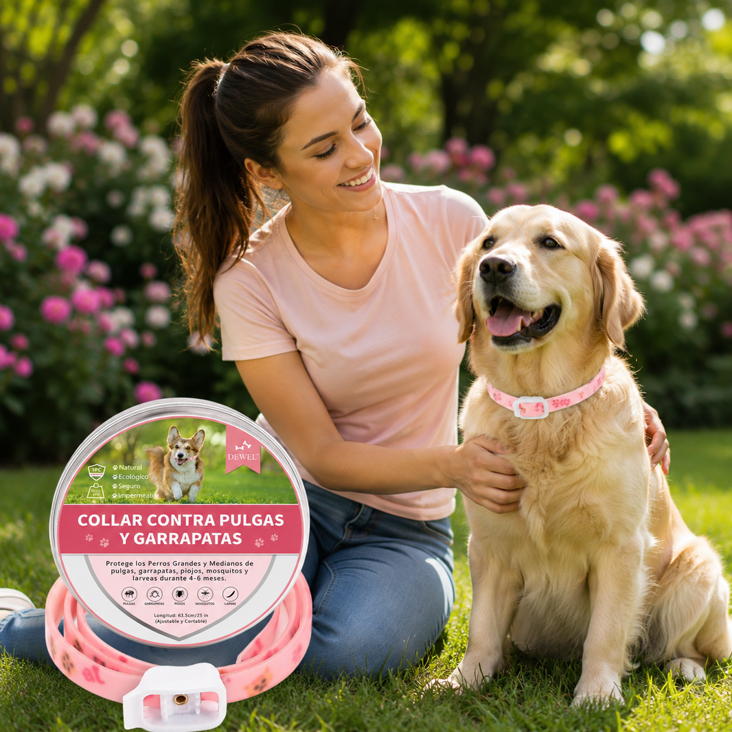 DEWEL-Floral Flea & Tick Collar–Adjustable 63.5cm for Medium & Large Dogs, Stylish Pet Decoration– 8-Month Protection