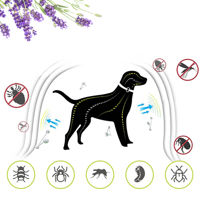 DEWEL-Flea and Tick Collar for Large, Medium & Small Dogs – 63.5cm Adjustable, 8-Month Protection