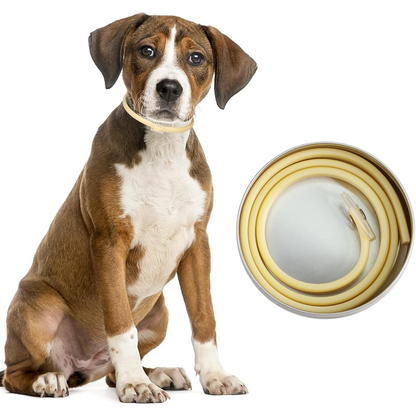 DEWEL-Gentle Care Flea & Tick Collar-Adjustable 63.5cm for Medium & Large Dogs, Sensitive Skin Care – 8-Month Protection