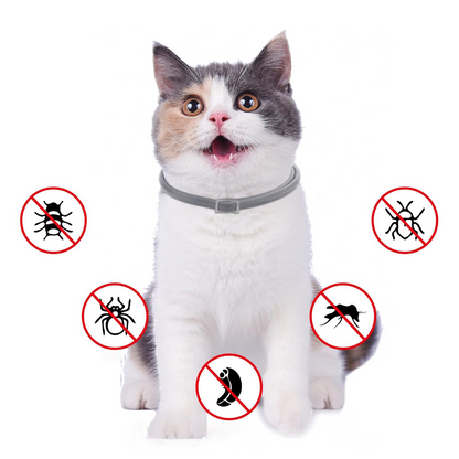 DEWEL-Collar antipulgas y garrapatas diario gris-ajustable 34.5 cm para gatos y perros pequeños, paseos por la ciudad – Protección de 8 meses
