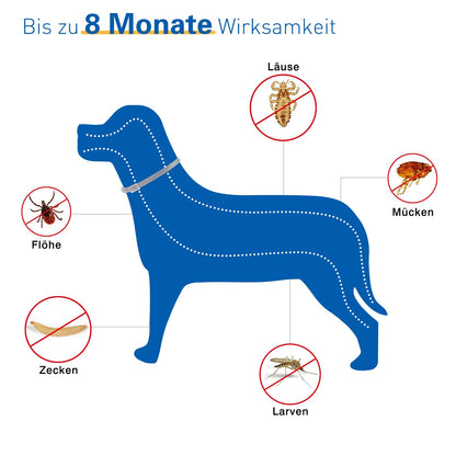 DEWEL-Basis Floh- & Zeckenhalsband für mittelgroße und große Hunde – Verstellbar 63,5 cm, Ideal für tägliche Stadtspaziergänge – 8 Monate Schutz