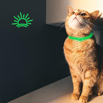 DEWEL-Luminous Flea & Tick Collar –Adjustable 34.5cm for Cats&Small Dogs, Night Safety – 8-Month Protection