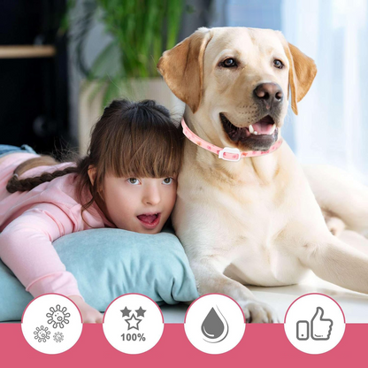 DEWEL-Floral Flea & Tick Collar–Adjustable 34.5cm for Cats&Small Dogs, Stylish Pet Decoration– 8-Month Protection