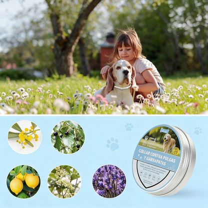 DEWEL-Collar Antipulgas y Garrapatas Diario Blanco-Ajustable 63.5cm para Perros Medianos y Grandes, Paseos por la Ciudad – Protección de 8 Meses