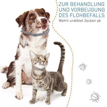 Spenden Sie 1 €, um streunenden Haustieren zu helfen – und erhalten Sie ein Flohhalsband für Ihr Haustier (nur 5 Bestellungen pro Tag möglich).