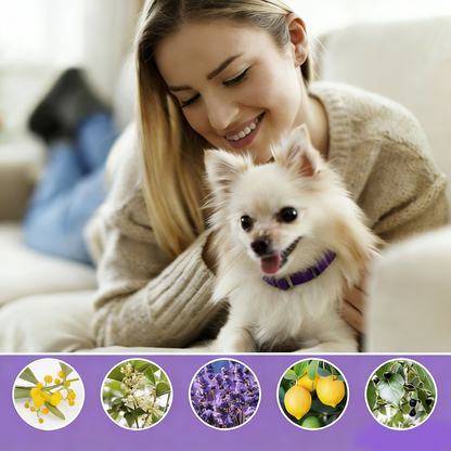 DEWEL-Outdoor Plus Flea & Tick Collar-Adjustable 63.5cm for Medium & Large Dogs, Forest Adventures– 8-Month Protection