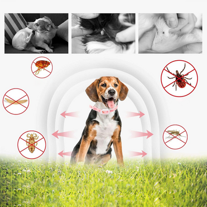 DEWEL-Floral Flea & Tick Collar–Adjustable 34.5cm for Cats&Small Dogs, Stylish Pet Decoration– 8-Month Protection