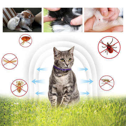 DEWEL-Set de Collares Antipulgas y Garrapatas Multiestilo – Ajustable de 34.5 cm para Gatos y Perros Pequeños, Uso Diario, Camping y Seguridad Nocturna – Protección de 8 Meses (Paquete de 3/4)