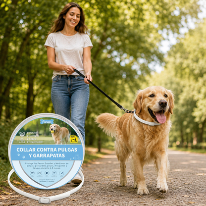 DEWEL-Daily Flea & Tick Collar White-Adjustable 63.5cm for Medium & Large Dogs, City Strolls – 8-Month Protection
