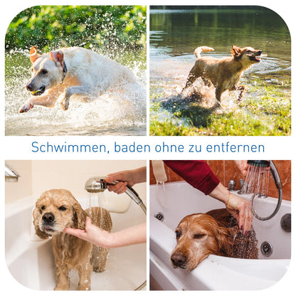 Spenden Sie 1 €, um streunenden Haustieren zu helfen – und erhalten Sie ein Flohhalsband für Ihr Haustier (nur 5 Bestellungen pro Tag möglich).