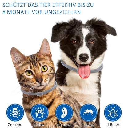 Spenden Sie 1 €, um streunenden Haustieren zu helfen – und erhalten Sie ein Flohhalsband für Ihr Haustier (nur 5 Bestellungen pro Tag möglich).