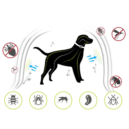 DEWEL-Gentle Care Flea & Tick Collar-Adjustable 63.5cm for Medium & Large Dogs, Sensitive Skin Care – 8-Month Protection