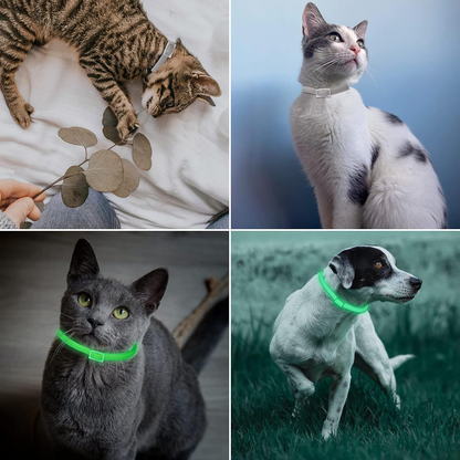 DEWEL-Luminous Flea & Tick Collar –Adjustable 34.5cm for Cats&Small Dogs, Night Safety – 8-Month Protection