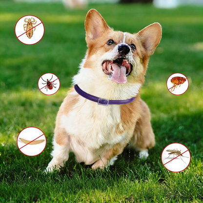 DEWEL-Outdoor Plus Flea & Tick Collar-Adjustable 63.5cm for Medium & Large Dogs, Forest Adventures– 8-Month Protection
