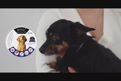 DEWEL-Flea and Tick Collar for Large, Medium & Small Dogs – 63.5cm Adjustable, 8-Month Protection